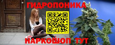 шишки Нальчик