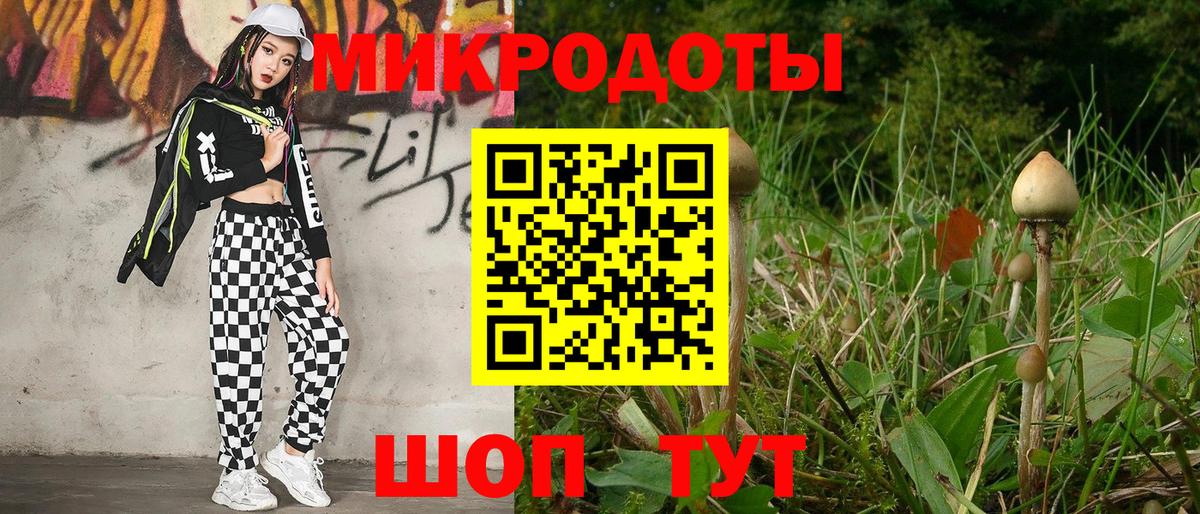 Псилоцибиновые грибы мухоморы Спасск-Дальний
